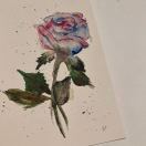 555 Tenth转租&房东直租