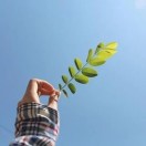 用户36965104的头像-博士钣金 - www.bsbanjin.com