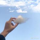 尘埃中的星光