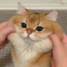 Viadux转租&房东直租