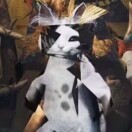 显存真的不够了～