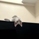 77kin.的头像-梦马考研