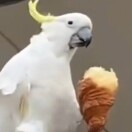 不吹空调睡不着