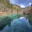 大吉大利的头像-秀琴曲谱网