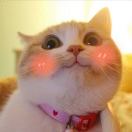 Rebornfree的钢琴谱