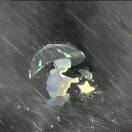 用户33122377的头像 