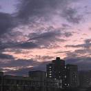邹彦忱