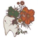 一角只是一颗牙