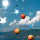 user_x986mqutg4nqf5pv member profile picture