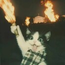 ㅤ
