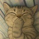 街边公寓转租&房东直租