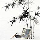 papercut的头像-音创社AI SonoCraft丨科技改变未来