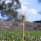 🍁Charlotte的头像-小燕电子书