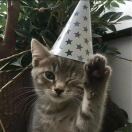 Villas at Northstar Ann Arbor转租&房东直租