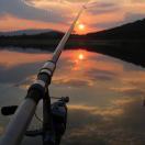 ʍօʀռɨռɢ🌻露露