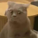 lllll11111-长游分享网