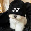 随便吧你就的头像 - 校园论坛