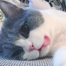 周昊