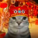 励清的头像-cg男孩