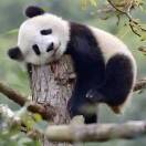 心在一起的头像 