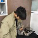 悉尼求租