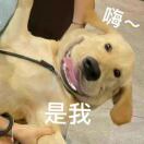 门门头像