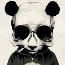 user_9u0exavkwjhatite member profile picture
