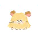 Gibson Street转租&房东直租