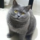 user_7azjbg02f0e4nkbb member profile picture