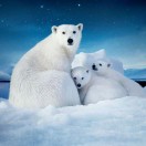 万重山-GD的头像-cok论坛 - AGREE动漫游戏