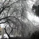 海军¹⁸⁰⁷⁵⁷¹⁹⁶⁶⁶