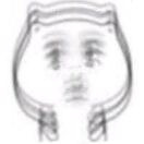 免小灰