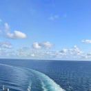 丫丫的头像-医学电子书