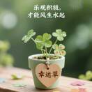 用户37105377的头像 