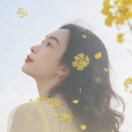 易林艳