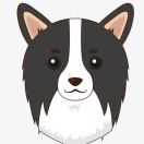 bennygaru's Avatar