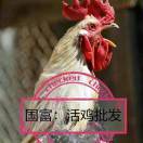 许国富