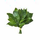 kd777的头像-古德网络