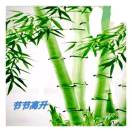 张晁瑞（张兆乐）