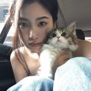 布里斯托求租