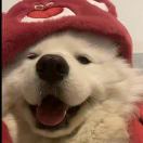 日落之前