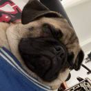 The Village at The Viaduct转租