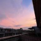 🍊🍎🌲的头像-创薯资源