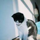 Brandon的头像-梦马考研