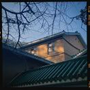 钱是狐狸胆 的头像