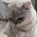 成年人的崩溃不是眼泪