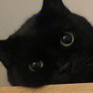 Rivendell Meadows 转租&房东直租