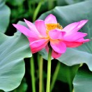 曼彻斯特求租
