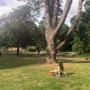 小宸儿的钢琴谱