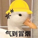 零一月